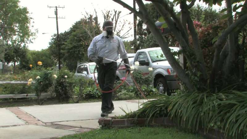 Hotel and Hospitality Pest Control